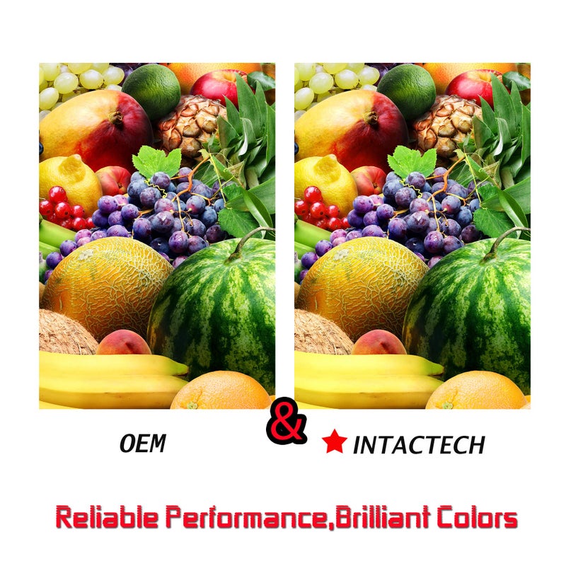 IN INTACTECH Intactech 2 Black Compatible Ink Cartridges Replacement for Brother LC3037 LC3037XXL LC3037BK High Yield Ink Tank Work for Printer MFC-J5845DW MFC-J5845DW XL MFC-J5945DW MFC-J6545DW MFC-J6945DW - Image 5